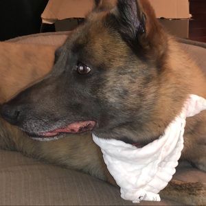 Meet your Posher, Christiana